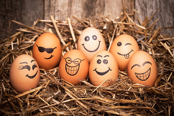 Image Of Eggs With Funny Faces